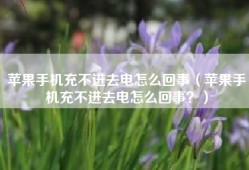 苹果手机充不进去电怎么回事（苹果手机充不进去电怎么回事？）