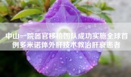 中山一院器官移植团队成功实施全球首例多米诺体外肝技术救治肝衰患者
