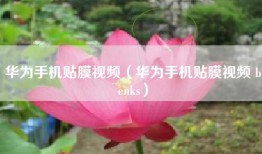 华为手机贴膜视频（华为手机贴膜视频 benks）