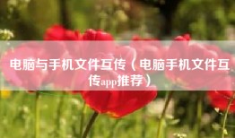 电脑与手机文件互传（电脑手机文件互传app推荐）