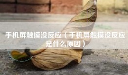 手机屏触摸没反应（手机屏触摸没反应是什么原因）