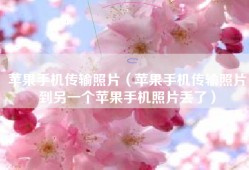 苹果手机传输照片（苹果手机传输照片到另一个苹果手机照片丢了）