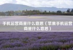 手机运营商是什么意思（苹果手机运营商是什么意思）