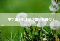 小学生手机（小学生手机推荐）