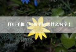 打折手机（打折手机叫什么名字）
