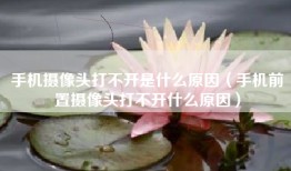 手机摄像头打不开是什么原因（手机前置摄像头打不开什么原因）