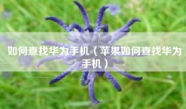 如何查找华为手机（苹果如何查找华为手机）