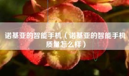 诺基亚的智能手机（诺基亚的智能手机质量怎么样）