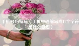 手机号码缩写（手机号码缩写成11个字符是什么意思）