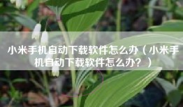 小米手机自动下载软件怎么办（小米手机自动下载软件怎么办？）