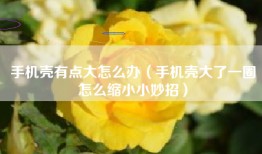 手机壳有点大怎么办（手机壳大了一圈怎么缩小小妙招）