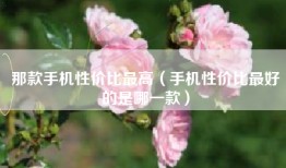 那款手机性价比最高（手机性价比最好的是哪一款）