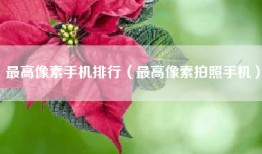 最高像素手机排行（最高像素拍照手机）