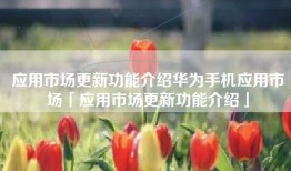 应用市场更新功能介绍华为手机应用市场「应用市场更新功能介绍」