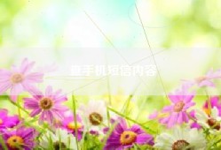 查手机短信内容
