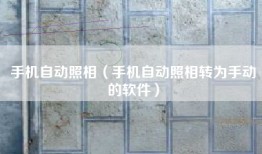 手机自动照相（手机自动照相转为手动的软件）