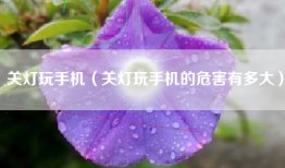 关灯玩手机（关灯玩手机的危害有多大）