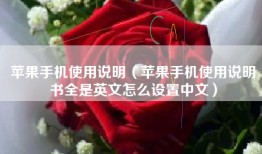 苹果手机使用说明（苹果手机使用说明书全是英文怎么设置中文）