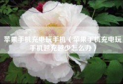 苹果手机充电玩手机（苹果手机充电玩手机越充越少怎么办）