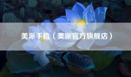 美派手机（美派官方旗舰店）