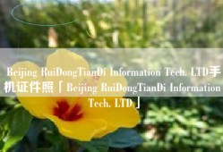 Beijing RuiDongTianDi Information Tech. LTD手机证件照「Beijing RuiDongTianDi Information Tech. LTD」