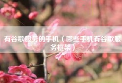 有谷歌服务的手机（哪些手机有谷歌服务框架）