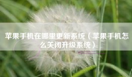 苹果手机在哪里更新系统（苹果手机怎么关闭升级系统）