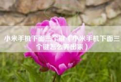 小米手机下面三个键（小米手机下面三个键怎么弄出来）