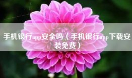 手机银行app安全吗（手机银行app下载安装免费）