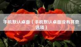 手机默认桌面（手机默认桌面没有其他选项）