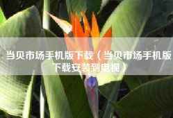 当贝市场手机版下载（当贝市场手机版下载安装到电视）