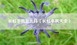长虹手机怎么样（长虹手机大全）
