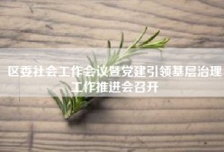 区委社会工作会议暨党建引领基层治理工作推进会召开