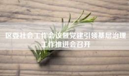 区委社会工作会议暨党建引领基层治理工作推进会召开