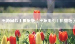 王源同款手机壁纸（王源用的手机壁纸）