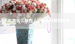 手机靠什么散热（手机如何散热原理）