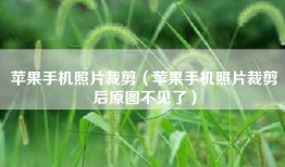 苹果手机照片裁剪（苹果手机照片裁剪后原图不见了）