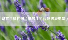 魅族手机代码（魅族手机代码恢复电量）