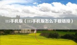 115手机版（115手机版怎么下载链接）