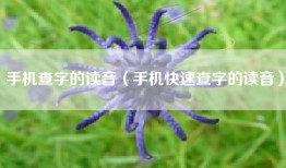 手机查字的读音（手机快速查字的读音）
