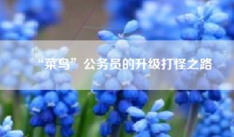 “菜鸟”公务员的升级打怪之路