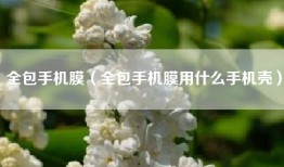 全包手机膜（全包手机膜用什么手机壳）