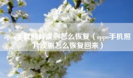 oppo手机照片误删怎么恢复（oppo手机照片误删怎么恢复回来）