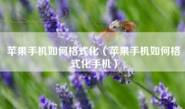 苹果手机如何格式化（苹果手机如何格式化手机）
