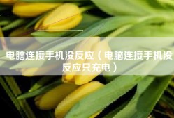 电脑连接手机没反应（电脑连接手机没反应只充电）