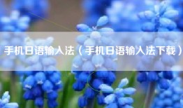 手机日语输入法（手机日语输入法下载）