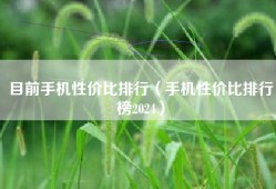 目前手机性价比排行（手机性价比排行榜2024）