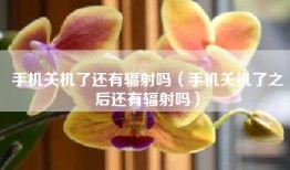 手机关机了还有辐射吗（手机关机了之后还有辐射吗）