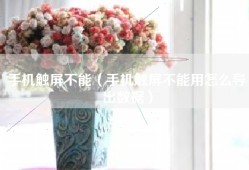 手机触屏不能（手机触屏不能用怎么导出数据）