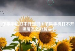 苹果手机打不开黑屏（苹果手机打不开黑屏怎么办解决）